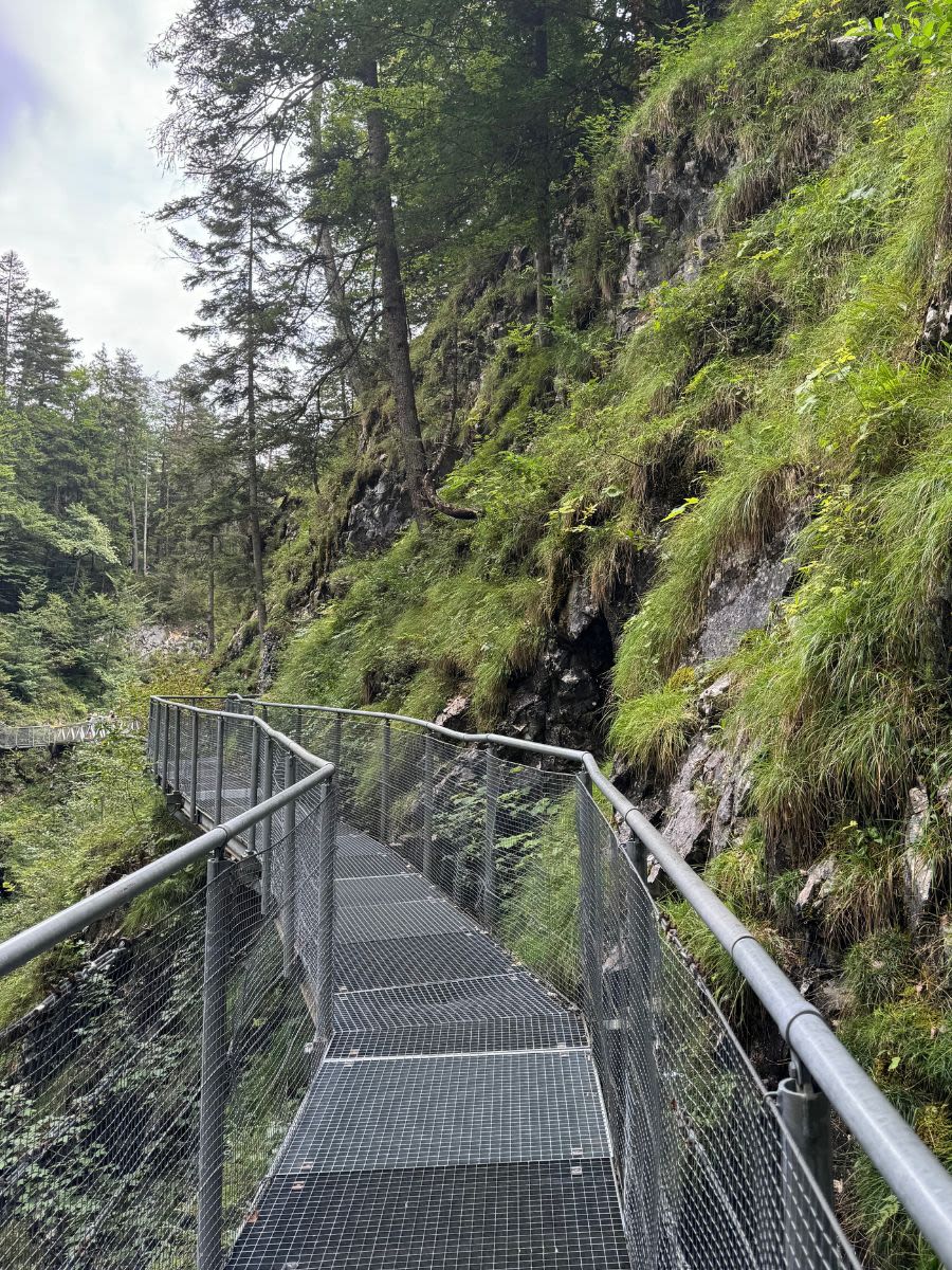 Metalowa kładka w wąwozie Leutascher Geisterklamm w Austrii przytwierdzona jest do skał. Wokół znajduje się dużo zieleni i drzew.