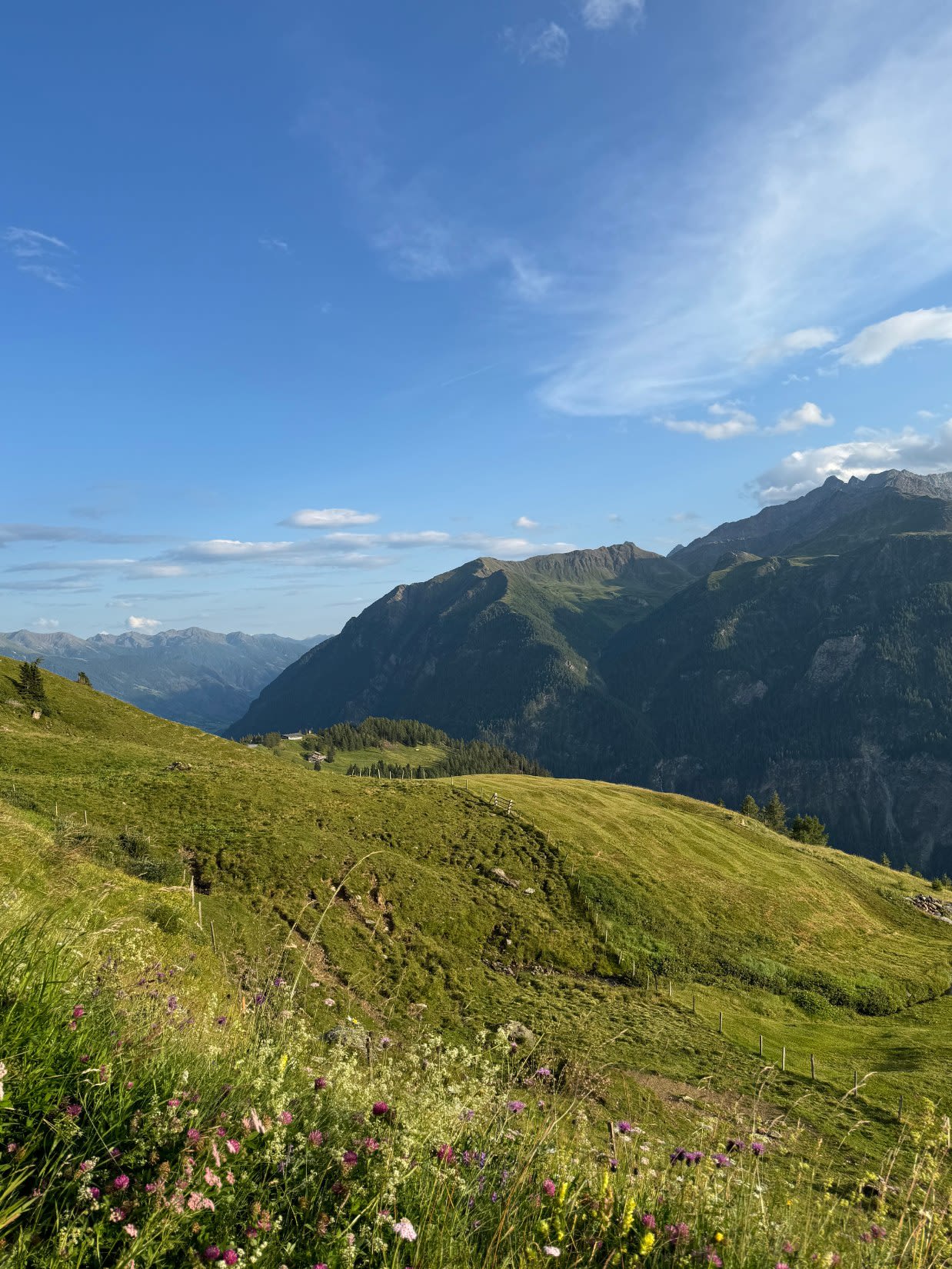 Alpejski krajobraz na trasie Grossglockner Hochalpenstrasse w lecie. Na pierwszym planie dzika trawa z kolorowymi kwiatami, dalej zielone łąki oświetlane zachodzącym słońcem. 