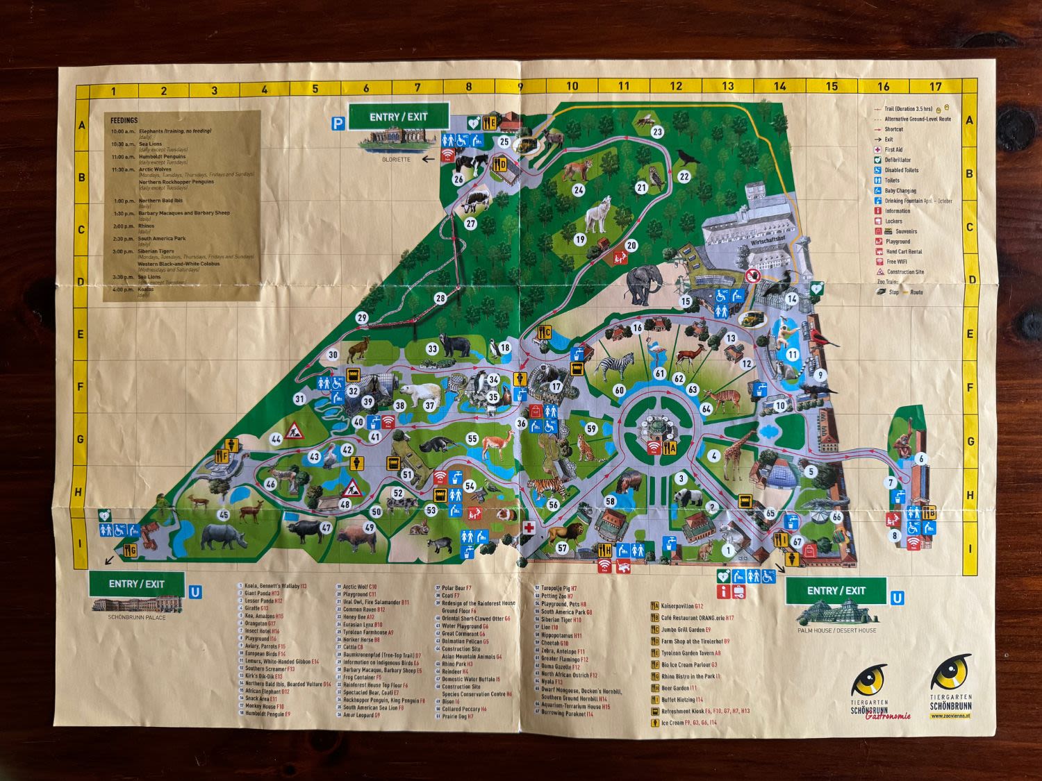 Papierowa mapa wiedeńskiego Schönbrunn zoo w Wiedniu. Na mapie widoczne jest całe zoo, można znaleźć informacje na temat zwierząt, kawiarnii, czy toalet.
