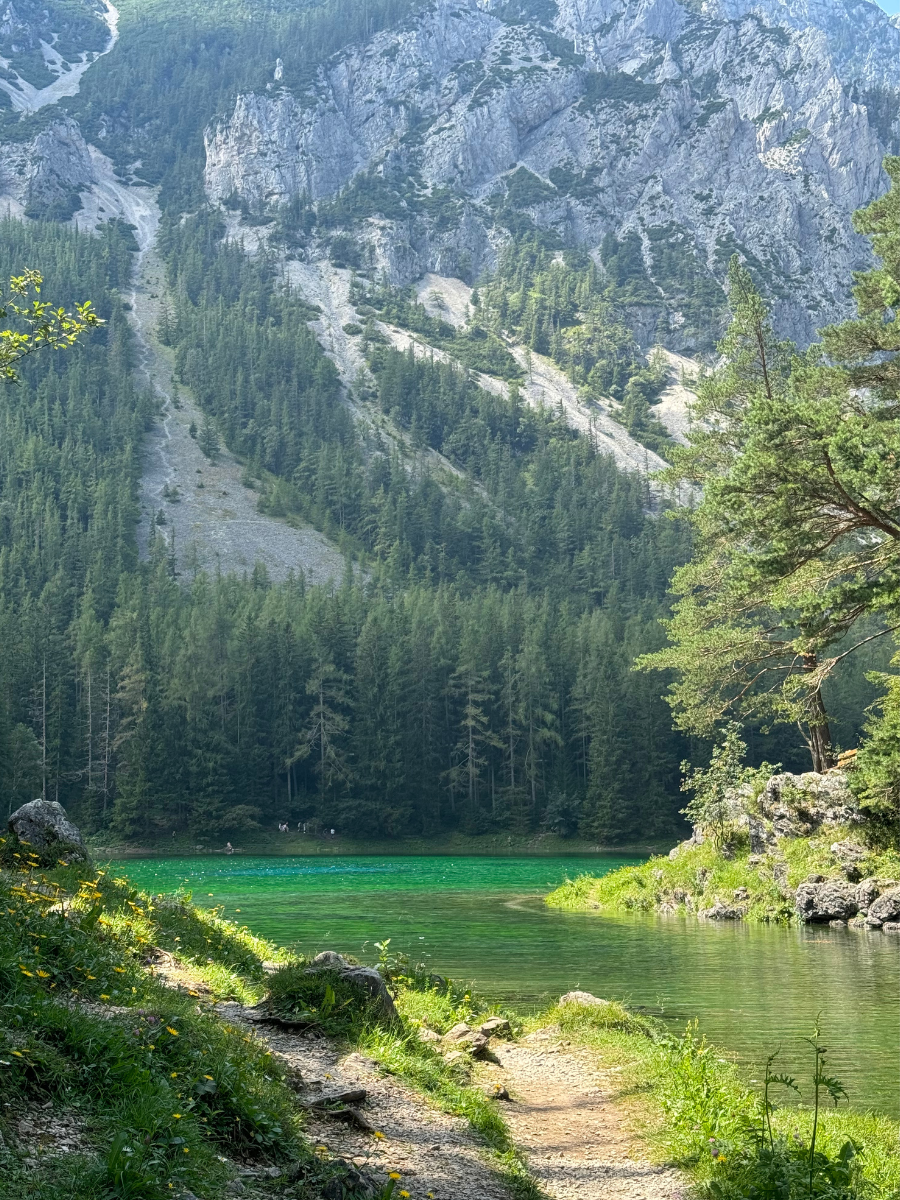 Jezioro Grüner See w Austrii. Na pierwszym planie ścieżka, dalej jezioro, oświetlane przez słońce. W las, nad którym pną się Alpy. 