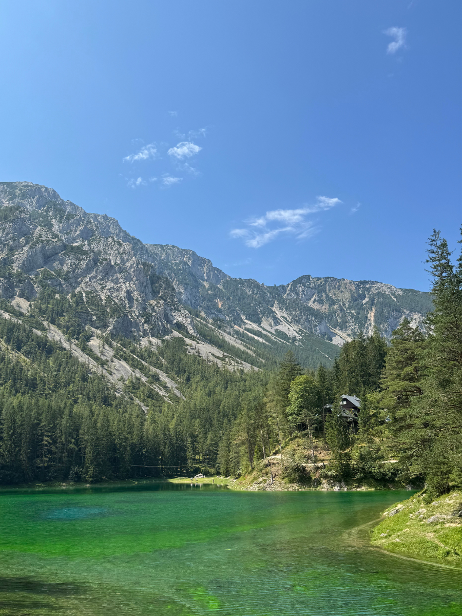Jezioro Grüner See w Austrii. Tafla jeziora mieni się różnymi odcieniami zieleni. Na jeziorze jest mała wysepka, na której znajduje się drewniany budynek.