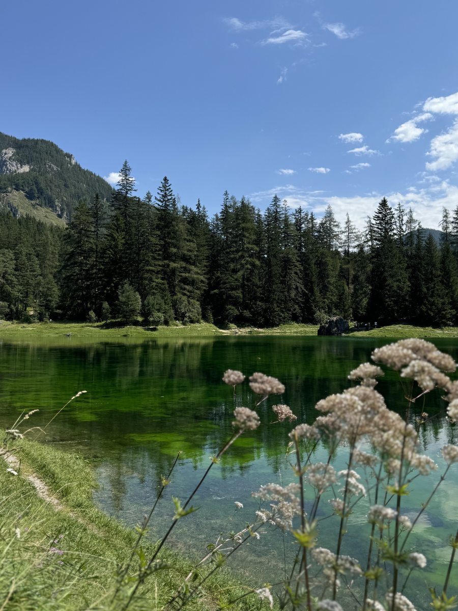 Austriackie jezioro Grüner See. Krajobraz jest sielski. Dzień jest pogodny. 