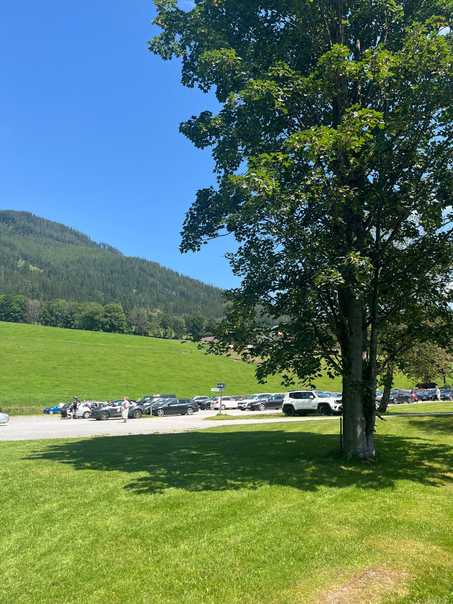 Parking przy jeziorze Grüner See, w Styrii (Austria). Zaparkowane auta widać w oddali. Na pierwszym planie duże drzewo, które daje cień. 