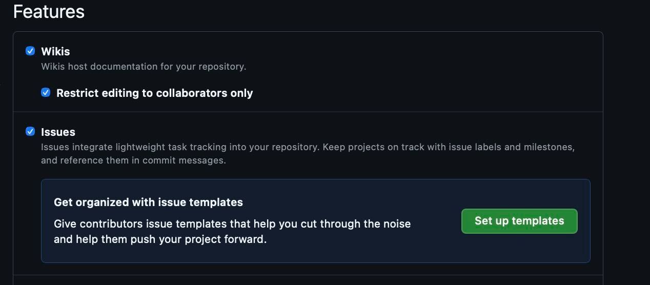 Setup Issue templates