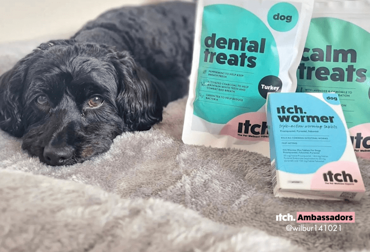 How Long Do Worming Tablets Take How Long Do Worming Tablets Take