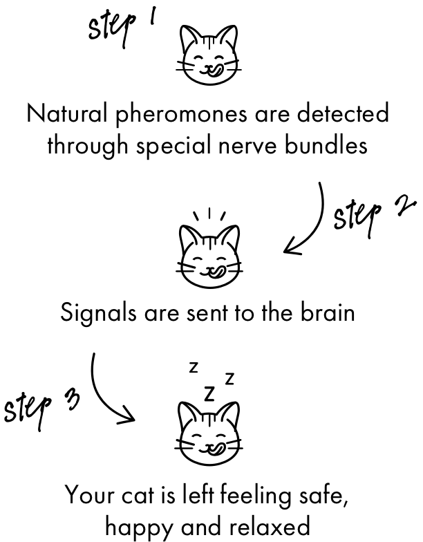 Scientifically proven, Itch Chill Out Pheromone Diffuser is vet approved and uses a drug-free formula to help cats feel safe, happy and relaxed while reducing uncool behaviours. </br>