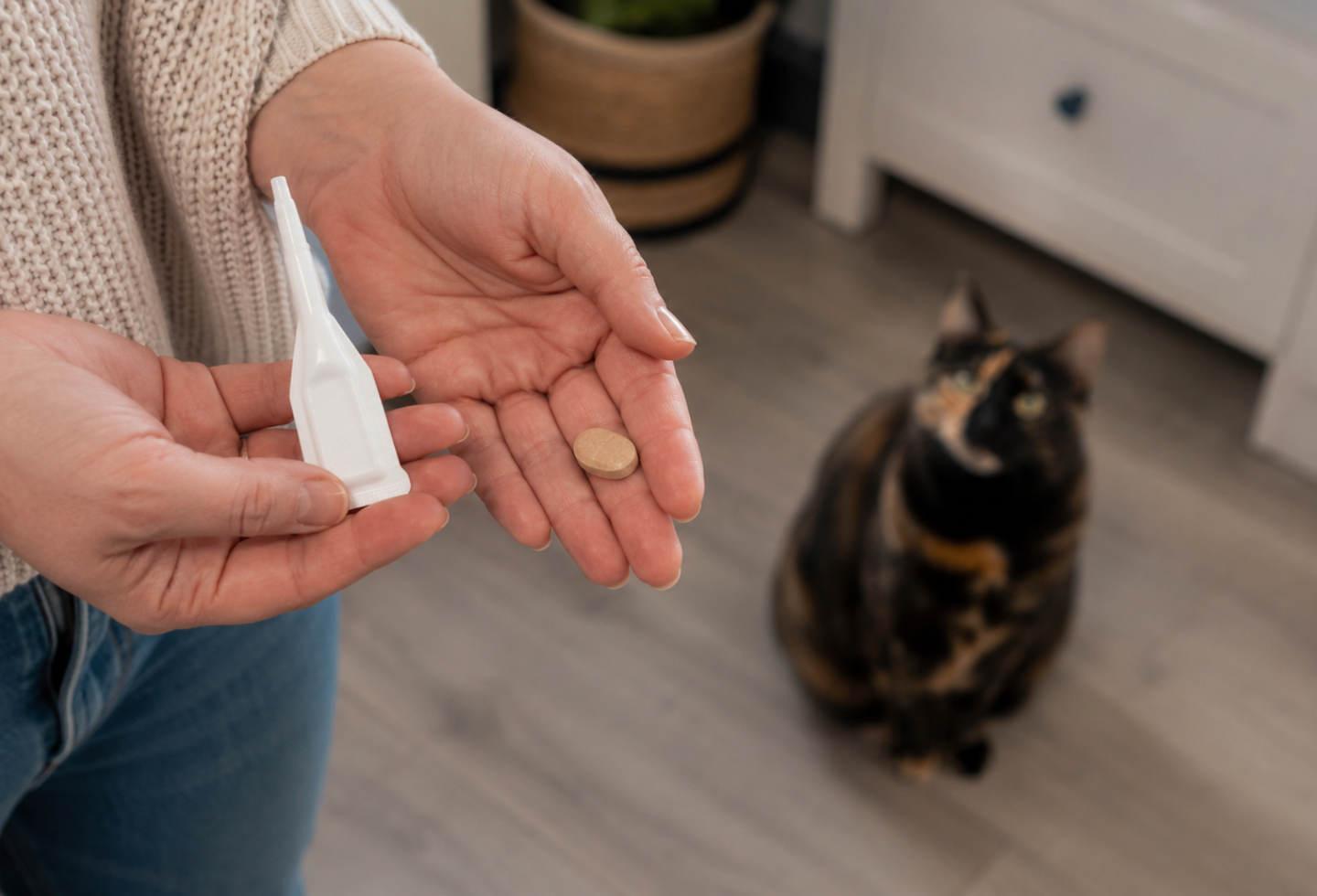 Cat owner holding worming treatment pipette and dewormer tablet in kitchen