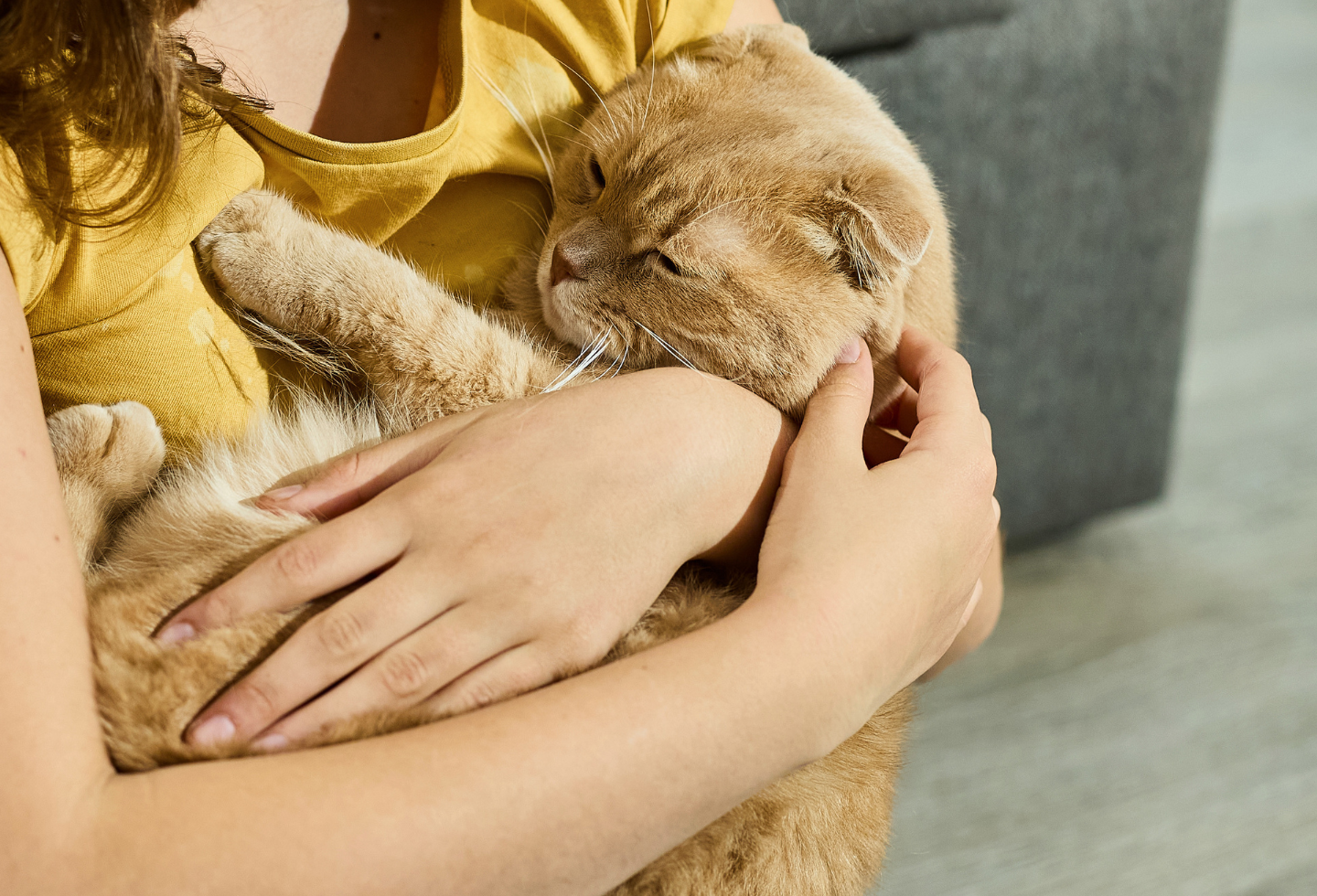 Owner cuddling cat with worms