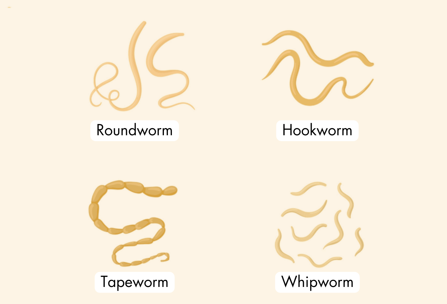 Worms in multi-pet household - Itch Pet | Itch Pet