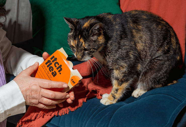 What kills ticks Home Remedies Itch Pet Itch Pet