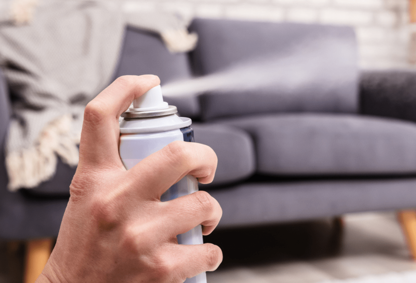 Dog flea house clearance treatment