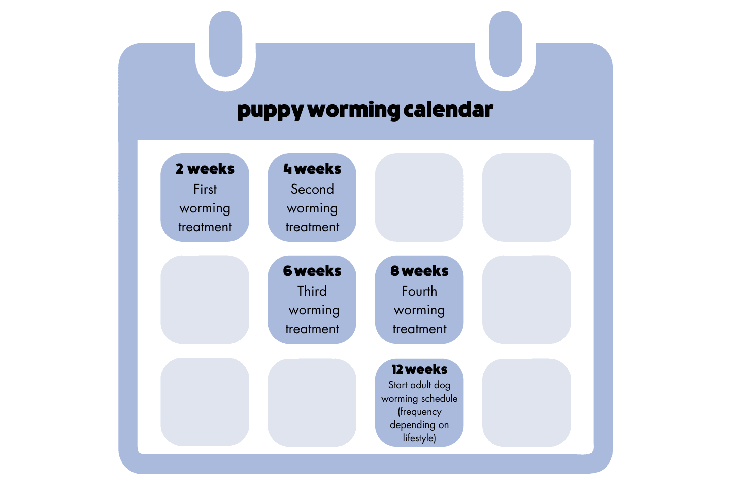 Graphic of blue calendar. Schedule for 12 weeks of worming for puppies.