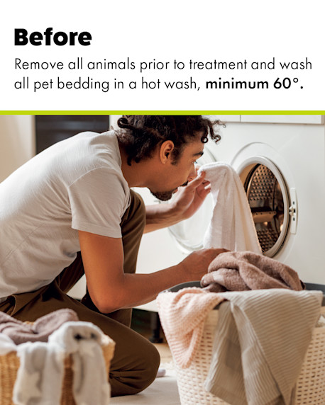 How to use a household flea spray - Wash bedding on hot wash before