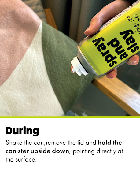 How to use a household flea spray - Spray all nooks and crannies of your home