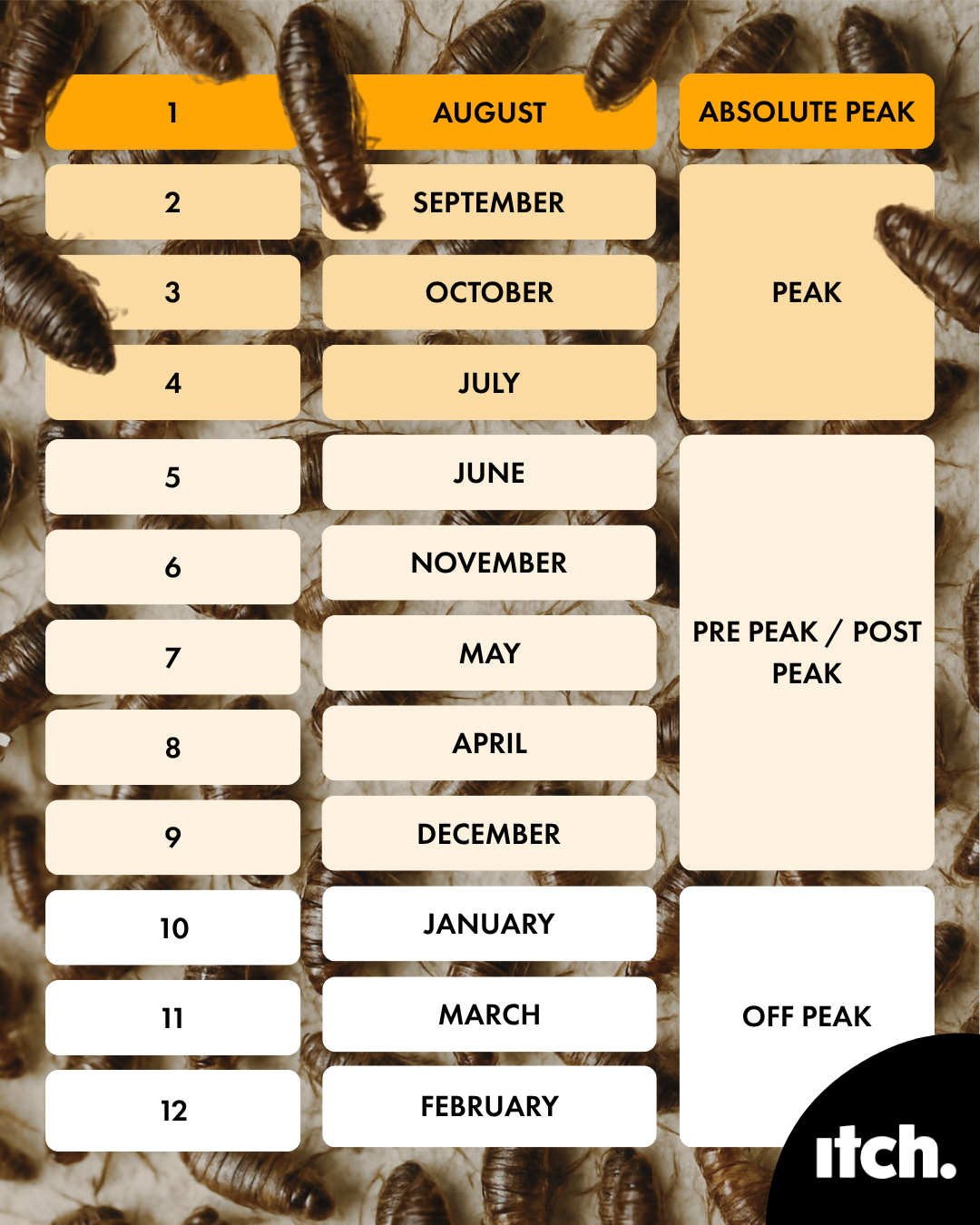 Ranked list of worst and best months for fleas 
