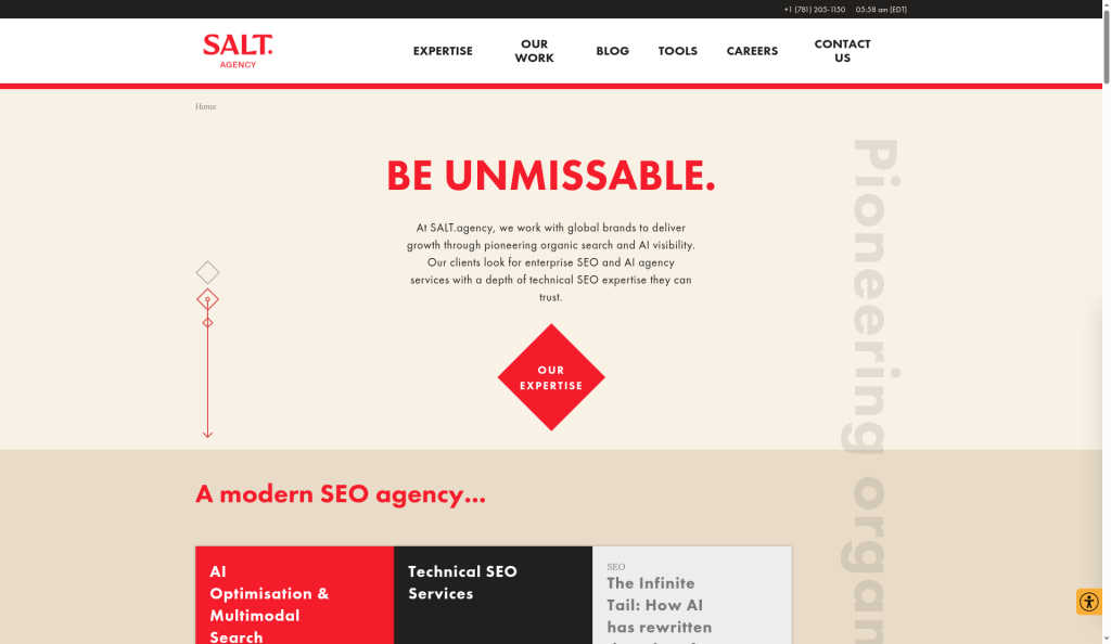 Screenshot of the SALT.agency homepage