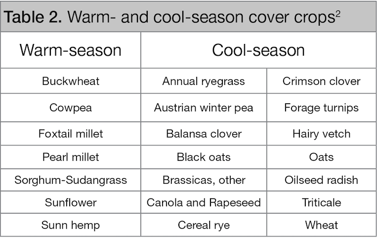 Uses and Benefits of Cover Crops | Bayer