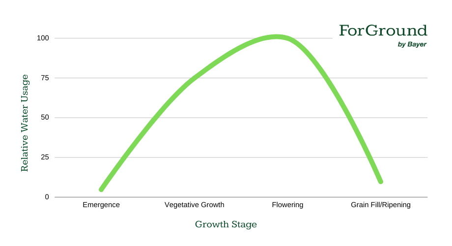 Zach Graph