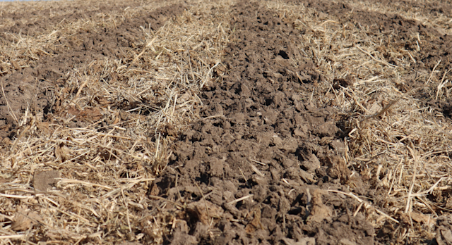 Soil Organic Matter: Its Functions And Value 