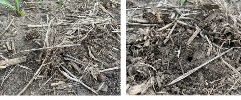 soil health comparison