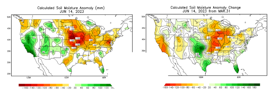 soil moisture