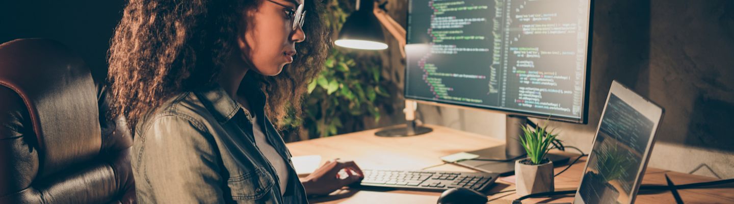 Web Development Banner