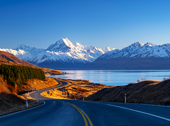 IELTS and New Zealand visas: key work & student visa changes