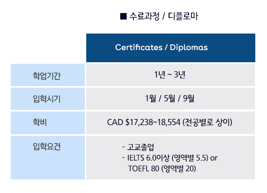 디플로마 입학조건
