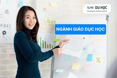 What is the field of education?