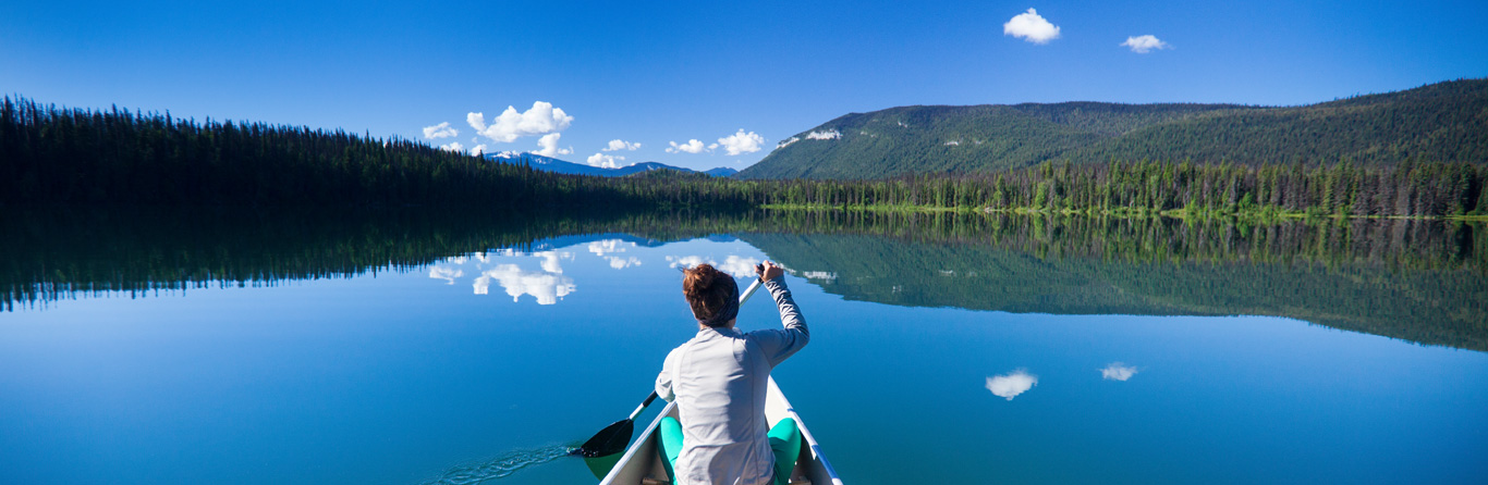 Transport in New Zealand