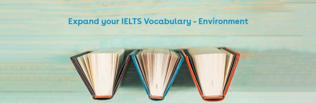 overhead view of 3 books partial open standing on end - Expand your IELTS vocabulary - environment - Canada