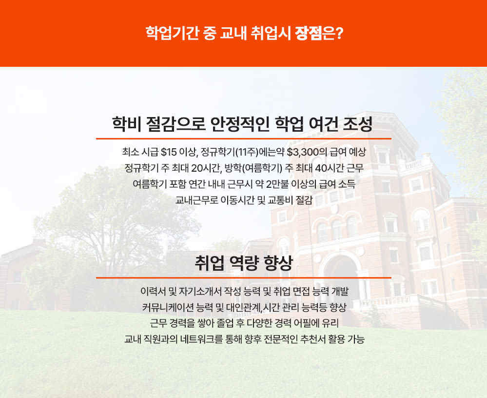 Paragraph Image