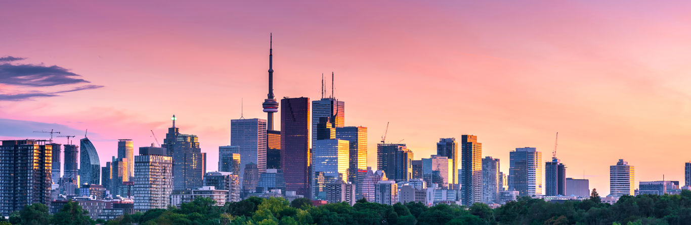 Study engineering at the University of Waterloo