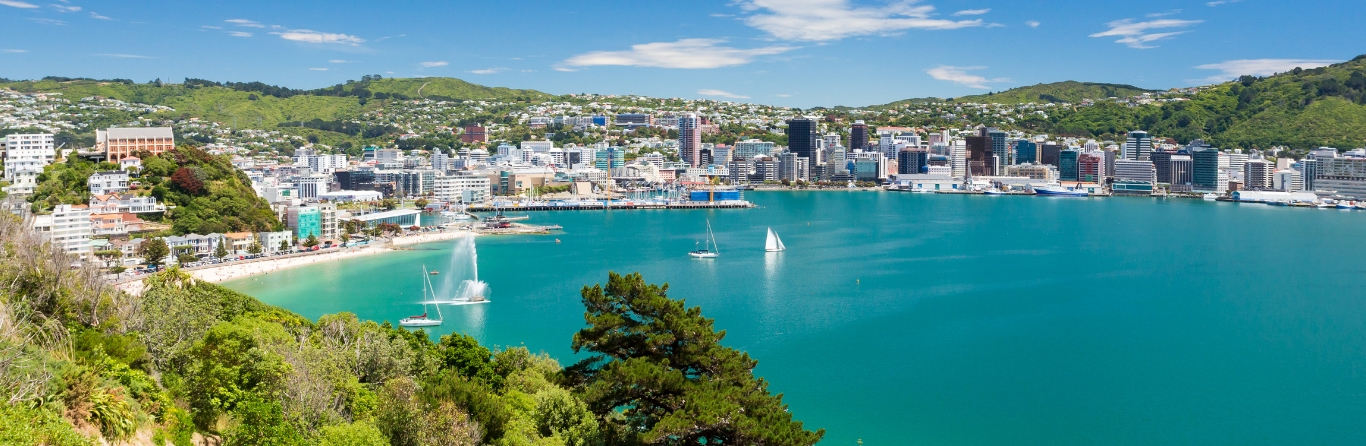 Study in New Zealand