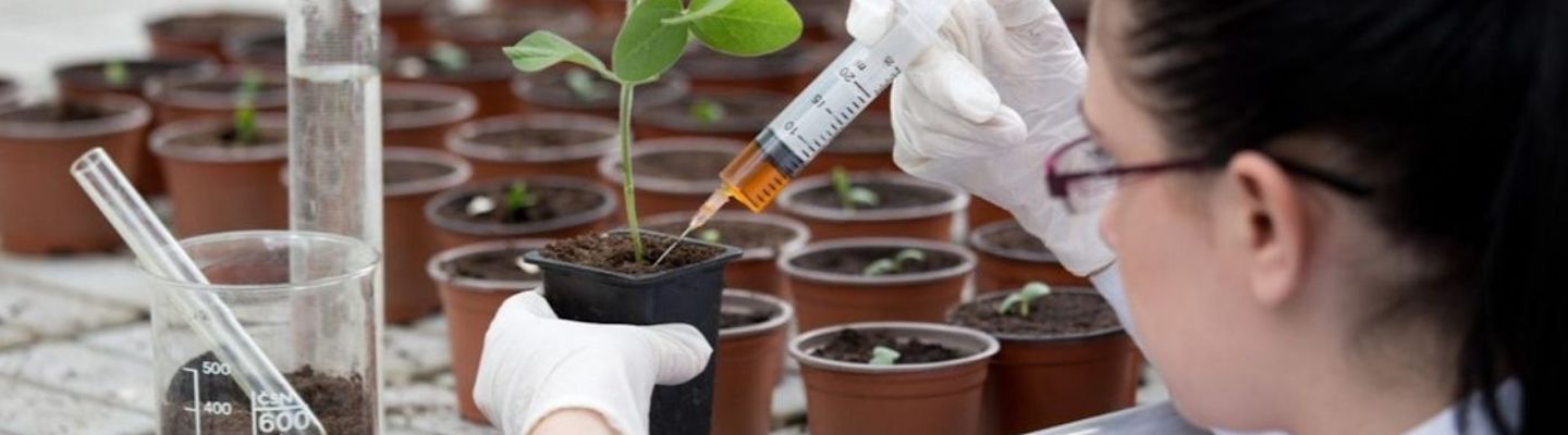 A medical student in a white coat pouring a liquid from a syringe into a flower pot with sprout in greenhouse.