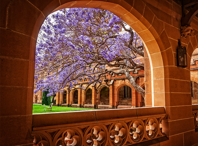 Your Australian dream is still possible: guide to securing a student visa with IELTS today