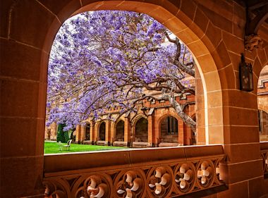 Your Australian dream is still possible: guide to securing a student visa with IELTS today