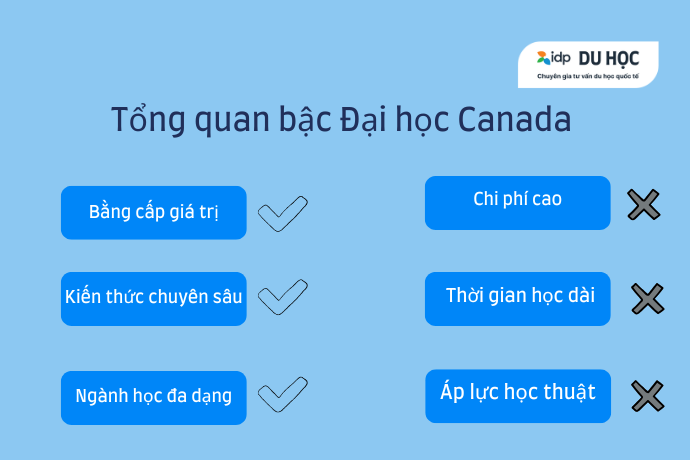 chương trình đại học tại Canada
