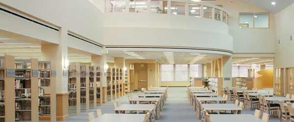 Paragraph Image