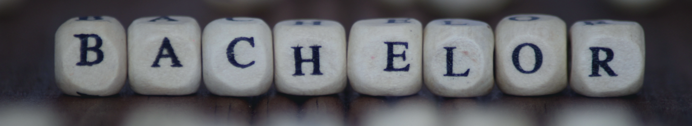 bachelor of business in usa | IDP India