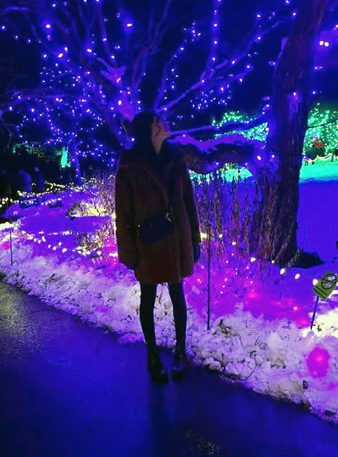 Abi Sran, holiday lights