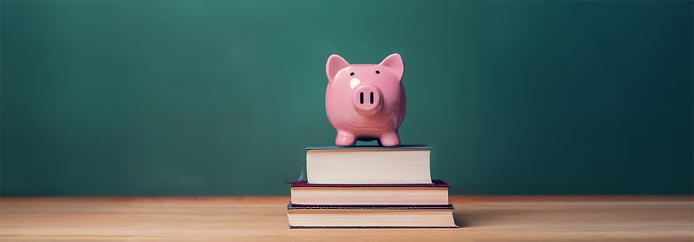 Pink Piggy bank on top of books against a green background