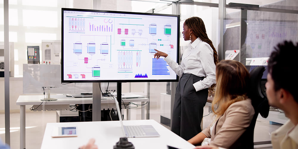 Peopling learning business analytics