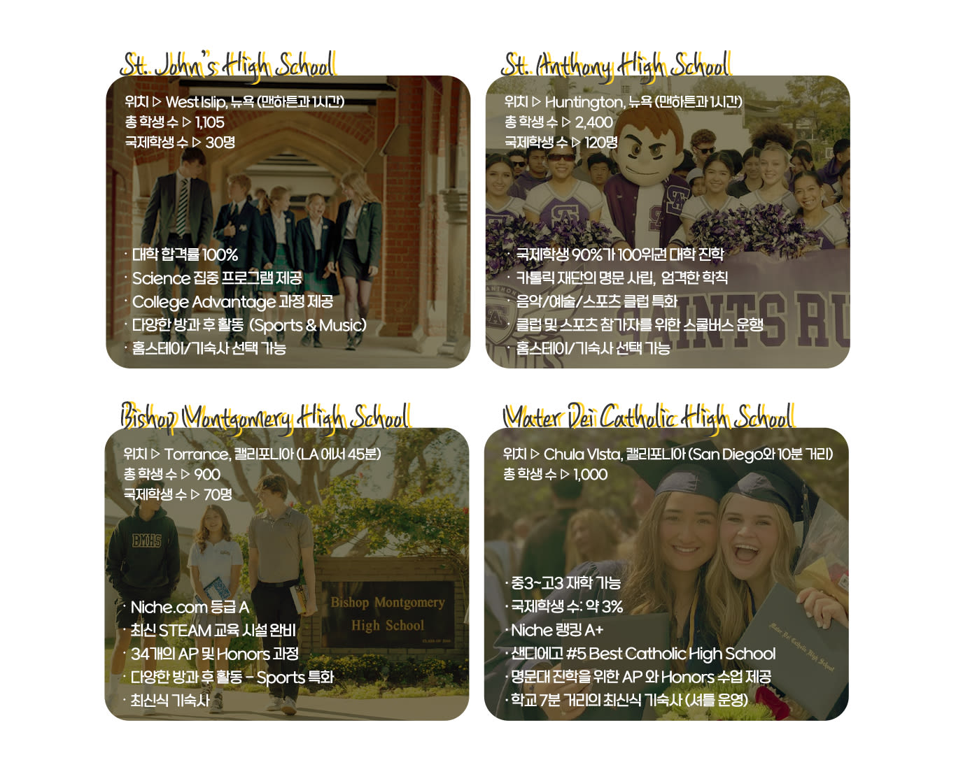 Paragraph Image