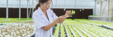 Agriculture and Related Sciences abroad image