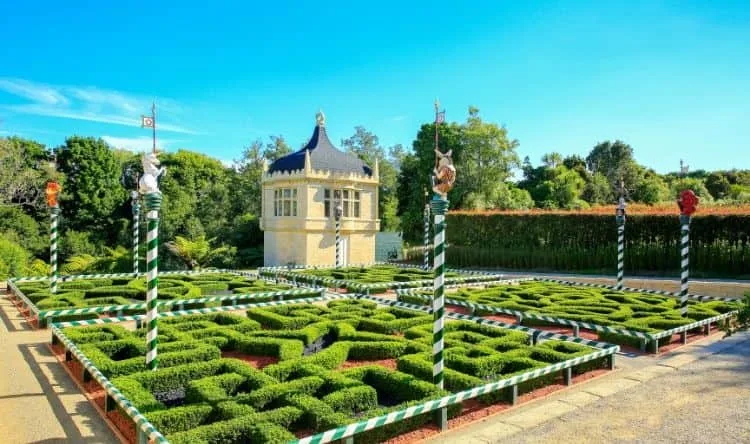 View of a the Hamilton Garden with groomed hedges forming a maze