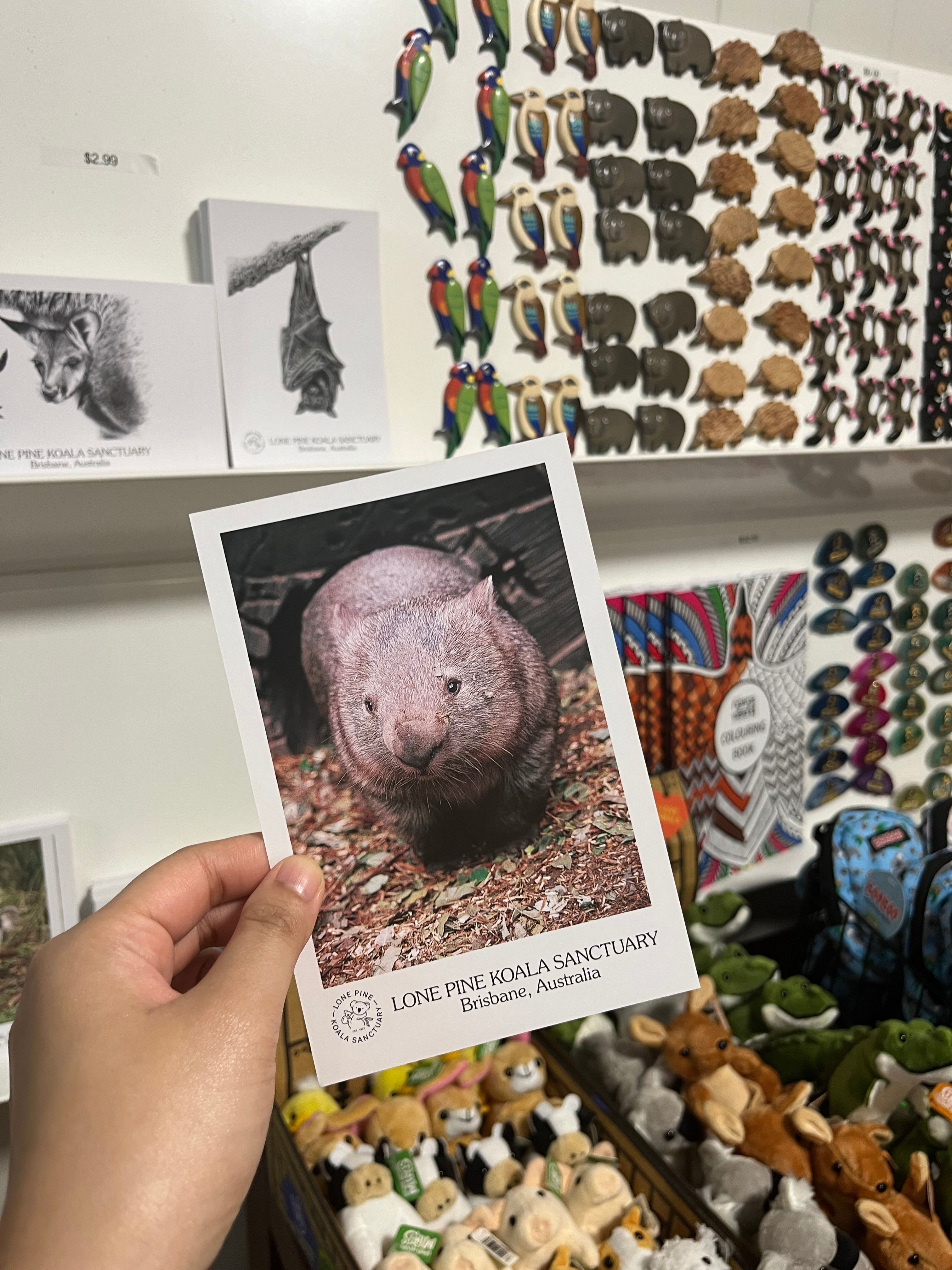 Destination Detail Gallery Image 1