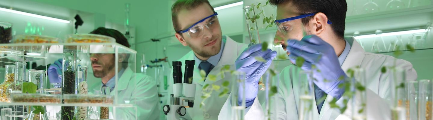 Two students in a Nursery Laboratory doing microscopic Biological test