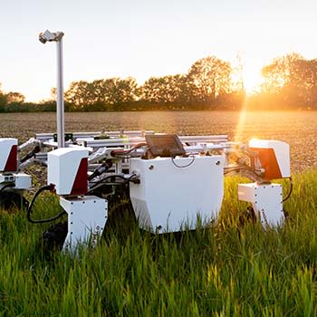 Environmental Engineering: All You Need To Know About Joining A Field That Aims To Save The Planet