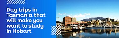 A scenic view of Hobarts waterfront with boats docked in the harbor, city buildings, and mountains in the background. Text on a blue overlay reads: Day trips in Tasmania that will make you want to study in Hobart.